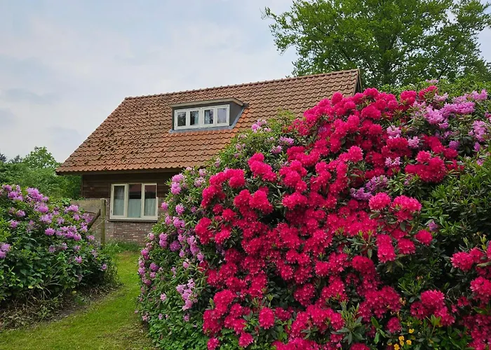 Holiday Home Countryside, Langbroek / Doorn