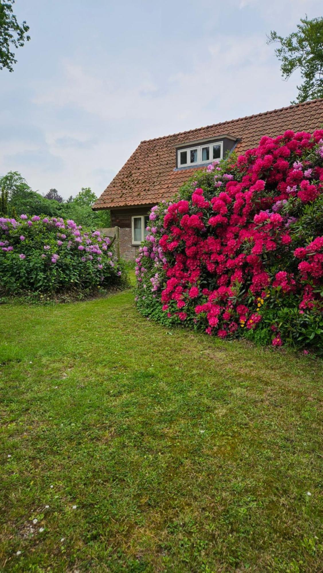 Countryside, Langbroek / Holiday home *