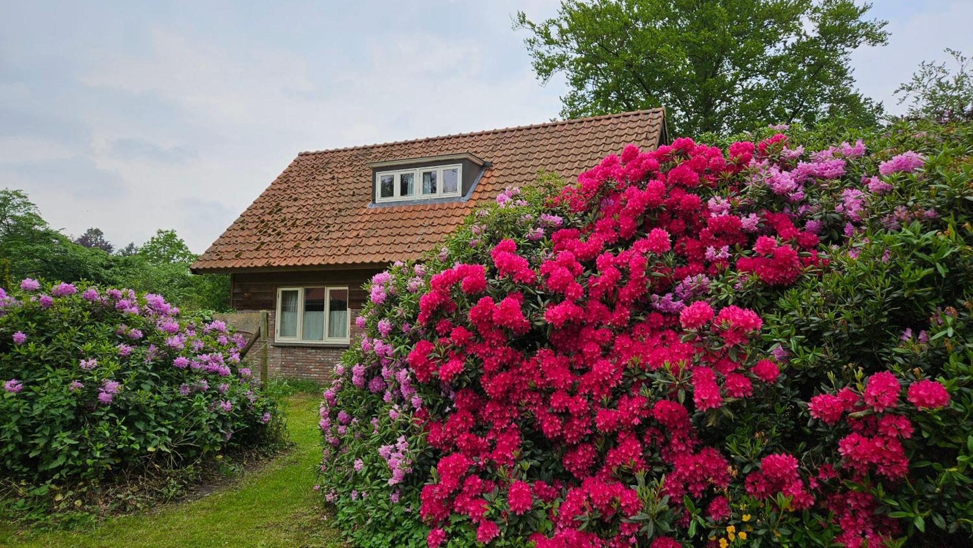 Countryside, Langbroek /